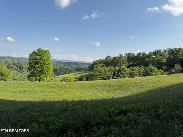 Baltimore Rd, Washburn, TN 37888 - photo 22
