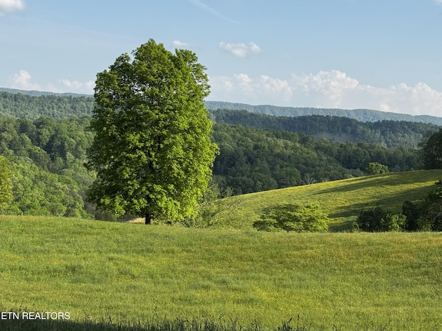Baltimore Rd, Washburn, TN 37888 - photo 23