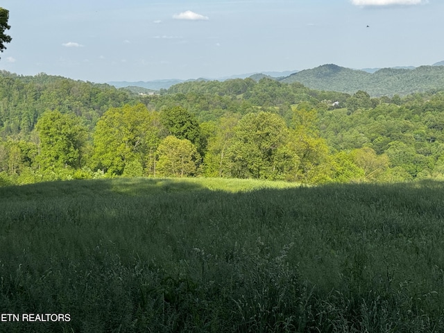 Baltimore Rd, Washburn, TN 37888 - photo 24