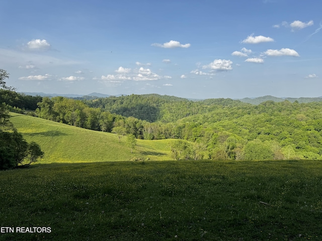Baltimore Rd, Washburn, TN 37888 - photo 25