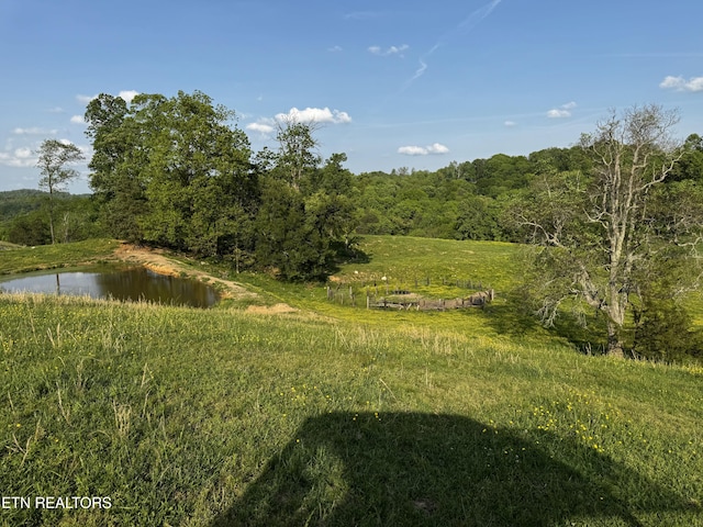 Baltimore Rd, Washburn, TN 37888 - photo 26