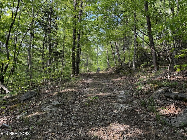Baltimore Rd, Washburn, TN 37888 - photo 27