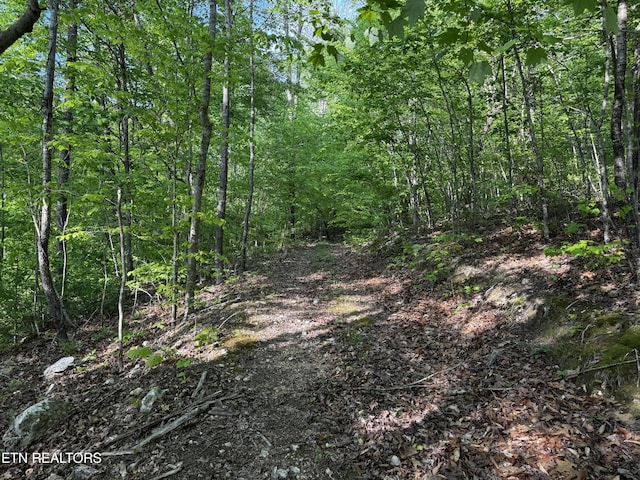 Baltimore Rd, Washburn, TN 37888 - photo 28