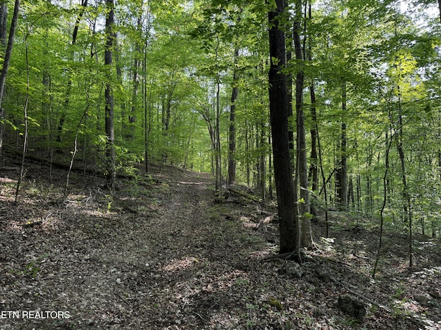 Baltimore Rd, Washburn, TN 37888 - photo 29