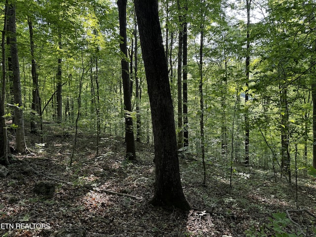 Baltimore Rd, Washburn, TN 37888 - photo 30
