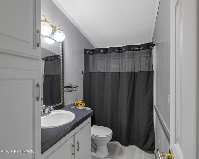full bath with toilet, a shower with shower curtain, and vanity