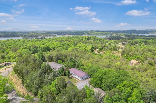 birds eye view of property with a water view and a forest view