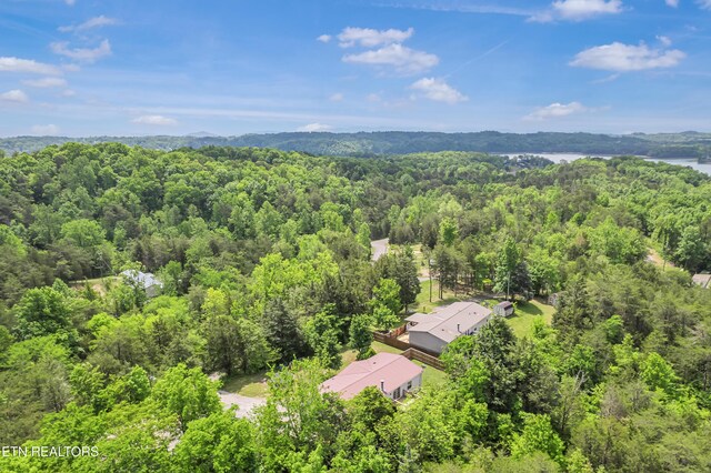 aerial view with a water view and a view of trees