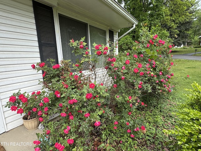 exterior space