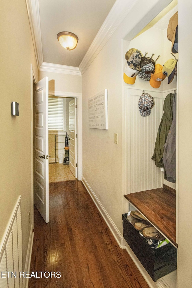 719 Lake Vista Ln Unit 3, Knoxville, TN 37934 - hallway with visible vents, ornamental molding, baseboards, and dark wood-type flooring