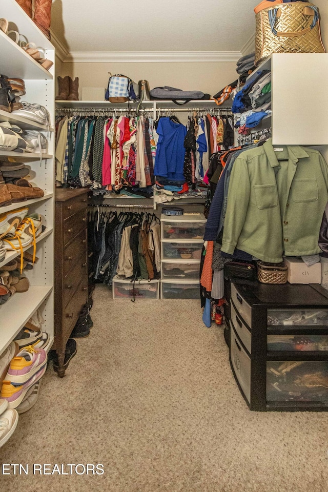 719 Lake Vista Ln Unit 3, Knoxville, TN 37934 - walk in closet with carpet floors