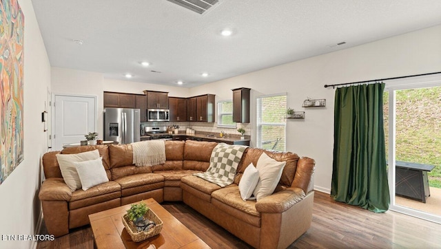 935 Curly Top Ln, Knoxville, TN 37932 - living room featuring wood finished floors, recessed lighting, plenty of natural light, and baseboards