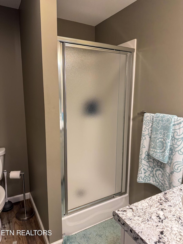 344 Kayla Ln, Oneida, TN 37841 - full bathroom with a shower with shower door, toilet, wood finished floors, vanity, and baseboards