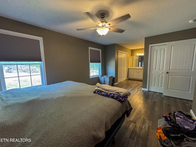 344 Kayla Ln, Oneida, TN 37841 - bedroom featuring multiple windows, two closets, a textured ceiling, and dark wood-style floors