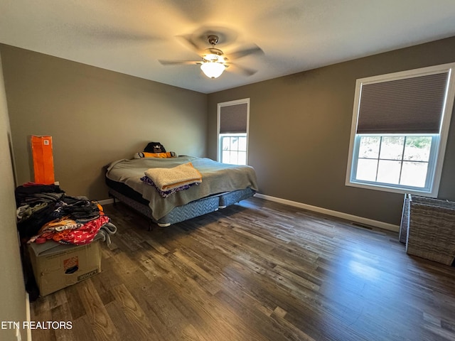 344 Kayla Ln, Oneida, TN 37841 - bedroom with multiple windows, wood finished floors, baseboards, and ceiling fan