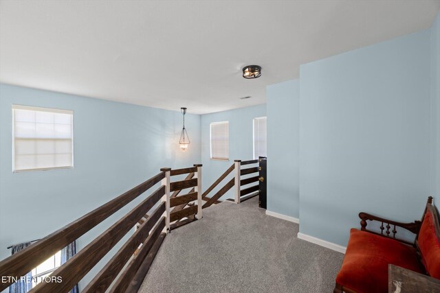118 County Road 327, Niota, TN 37826 - photo 27