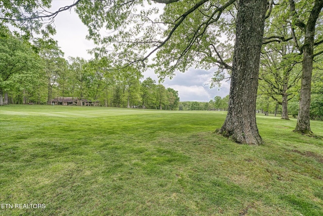 161 Snead Dr, Crossville, TN 38558 - photo 6