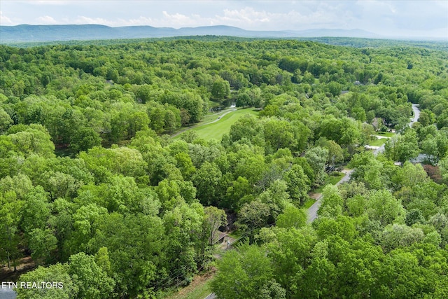 161 Snead Dr, Crossville, TN 38558 - photo 43
