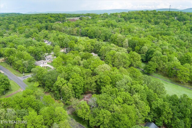 161 Snead Dr, Crossville, TN 38558 - photo 46