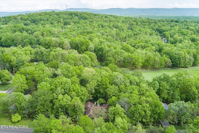 161 Snead Dr, Crossville, TN 38558 - photo 47