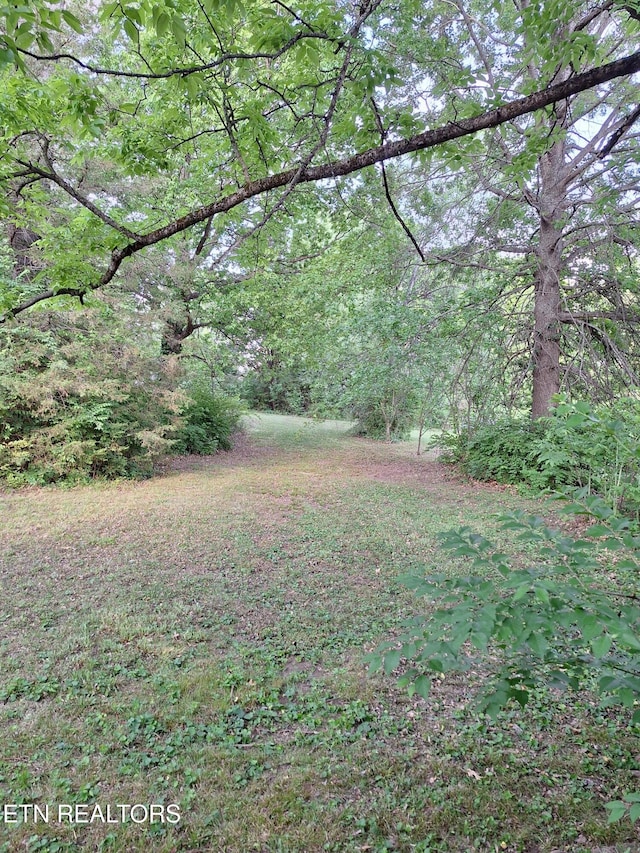 5828 Eldridge Rd, Knoxville, TN 37918 - view of yard featuring a wooded view