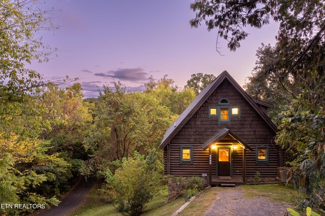 view of front of home with log exterior
