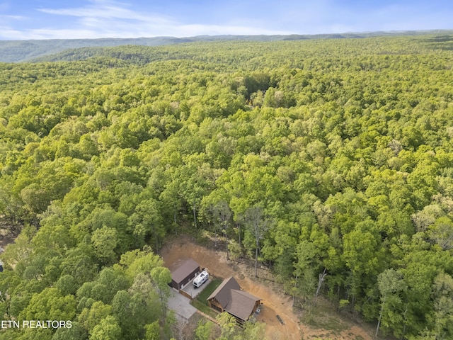 738 Saw Mill Rd, Monterey, TN 38574 - photo 7