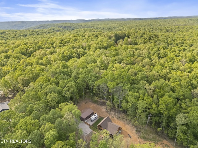 738 Saw Mill Rd, Monterey, TN 38574 - photo 8