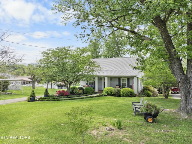 view of front of property featuring metal roof and a front lawn