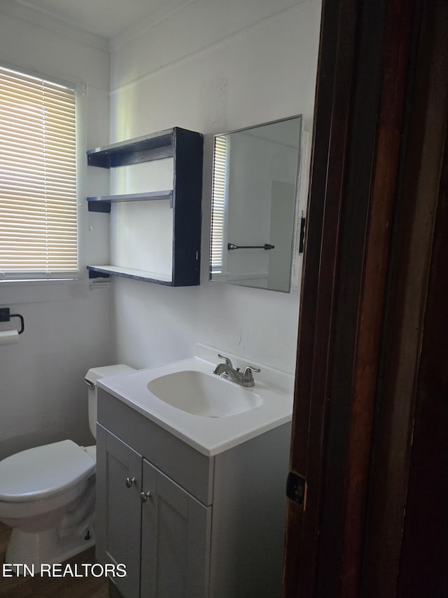 bathroom featuring vanity, ornamental molding, and toilet