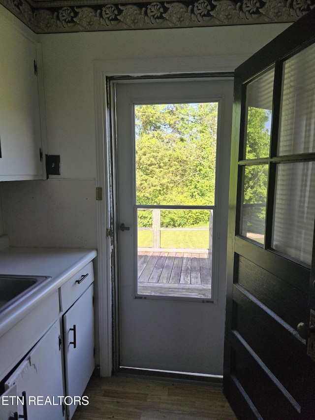 entryway featuring a sink, dark wood finished floors, and a wealth of natural light