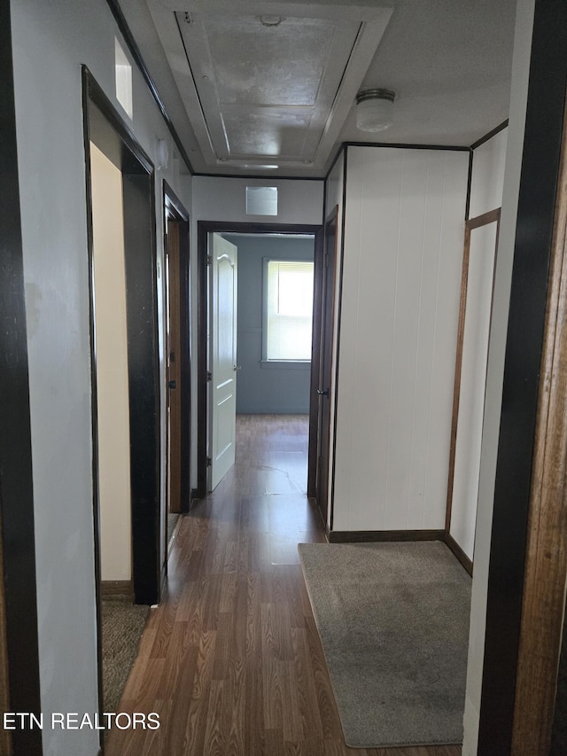 corridor featuring wood finished floors