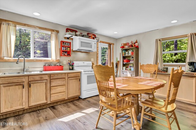 1424 Clabo Hollow Rd, Sevierville, TN 37876 - kitchen with a wealth of natural light, white appliances, light wood finished floors, and a sink