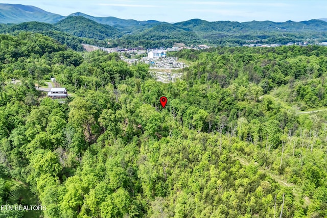 1424 Clabo Hollow Rd, Sevierville, TN 37876 - drone / aerial view with a mountain view and a wooded view