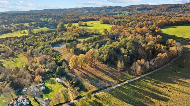 LOT3 Rodgers Rd, Corryton, TN 37721