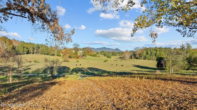 LOT3 Rodgers Rd, Corryton, TN 37721