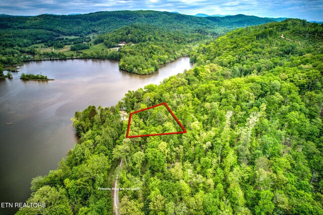 126 Lake View Dr, Harriman, TN 37748