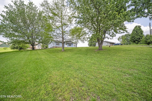 2934 Eledge Ln, Sevierville, TN 37876 - view of grassy yard