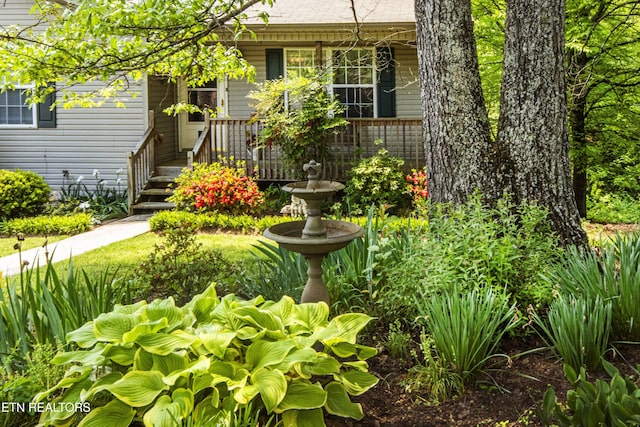 view of yard featuring a porch