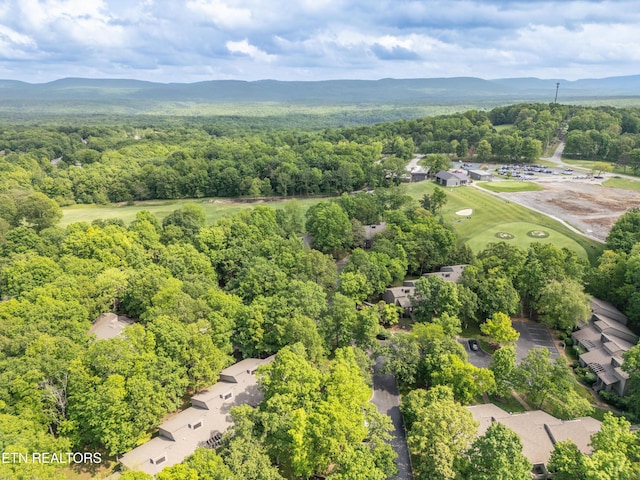 57 Eagle Ct, Crossville, TN 38558 - bird's eye view of a forest