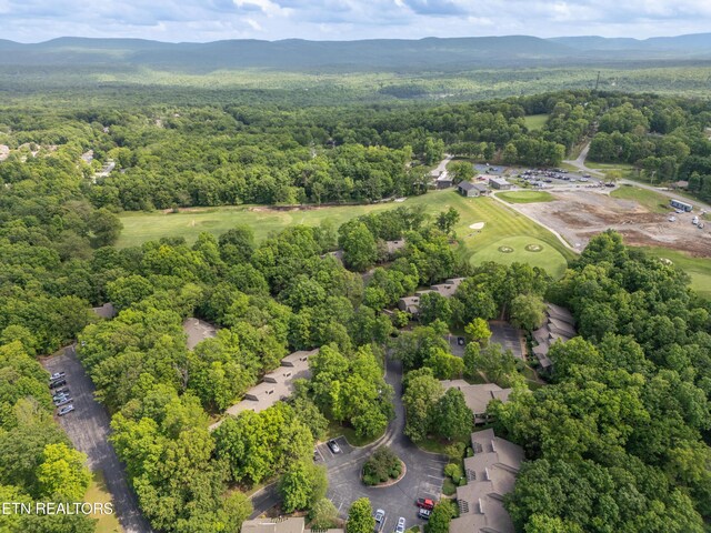 57 Eagle Ct, Crossville, TN 38558 - aerial view of property's location with a heavily wooded area and a mountainous background