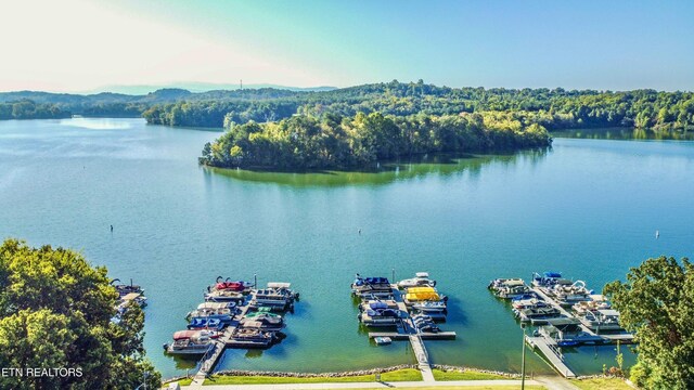213 Northshore Dr, Greenback, TN 37742