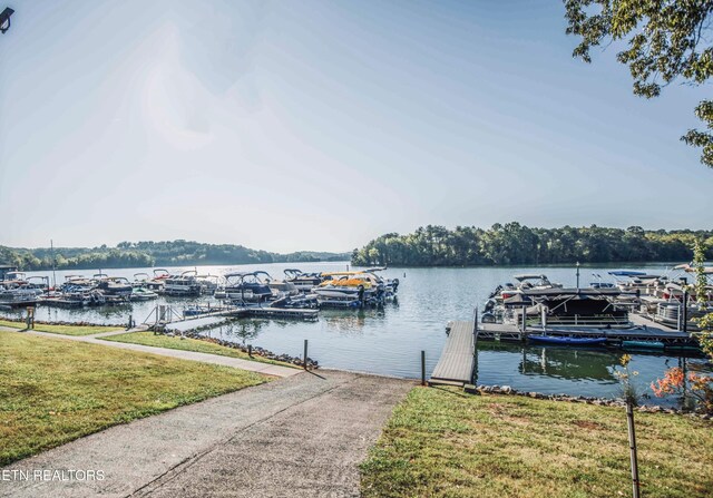 213 Northshore Dr, Greenback, TN 37742