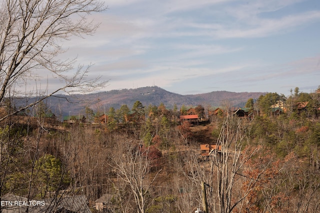 mountain view