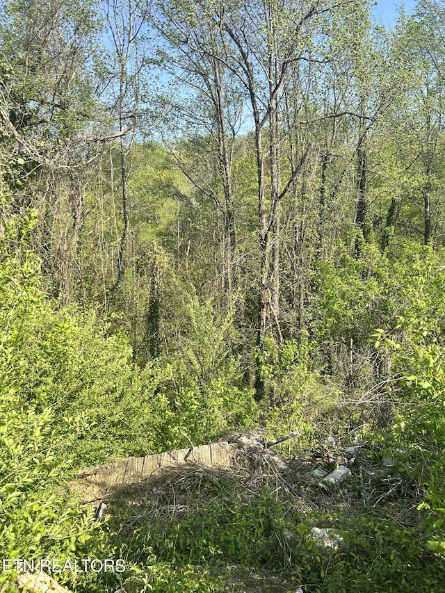 view of landscape with a forest view