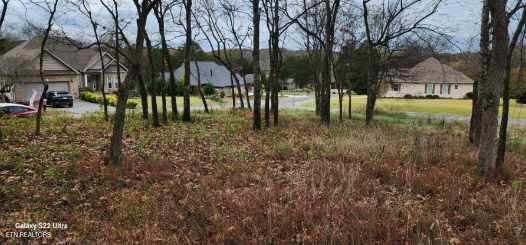 188 Dudi Trl, Vonore, TN 37885 - photo 6