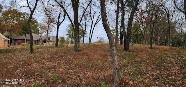 188 Dudi Trl, Vonore, TN 37885 - photo 8