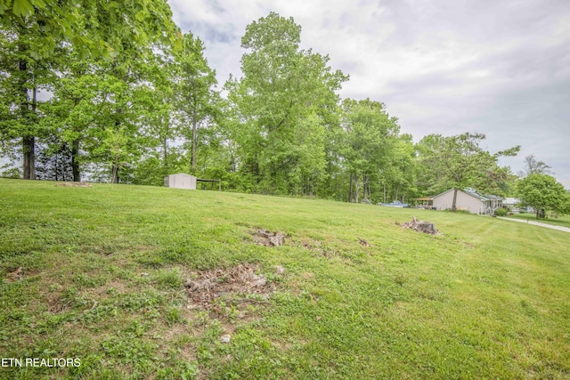 view of yard with a storage shed and an outdoor structure