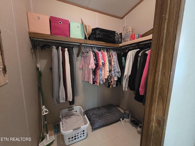 view of spacious closet