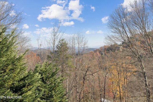 view of nature featuring a view of trees
